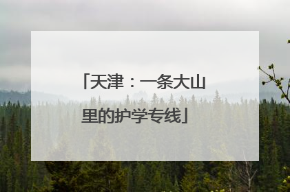 天津：一条大山里的护学专线