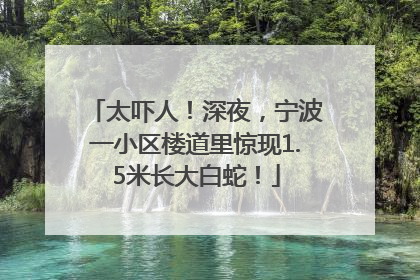 太吓人！深夜，宁波一小区楼道里惊现1.5米长大白蛇！