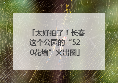 太好拍了！长春这个公园的“520花墙”火出圈