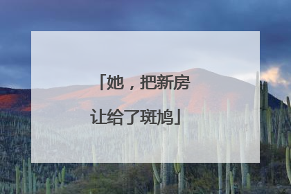 她，把新房让给了斑鸠