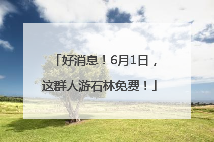 好消息！6月1日，这群人游石林免费！