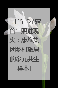 当“星露谷”照进现实：康旅集团乡村旅居的多元共生样本