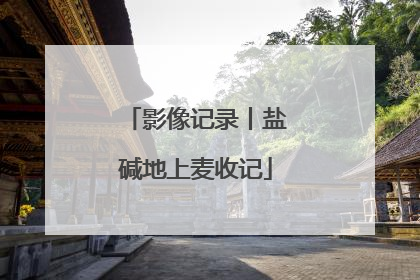 影像记录丨盐碱地上麦收记