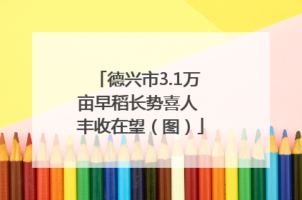 德兴市3.1万亩早稻长势喜人 丰收在望（图）