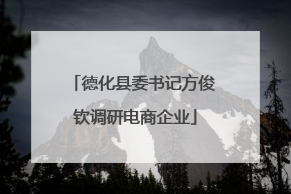 德化县委书记方俊钦调研电商企业