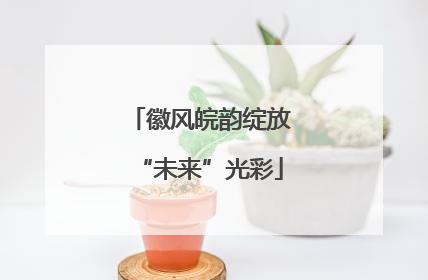 徽风皖韵绽放“未来”光彩