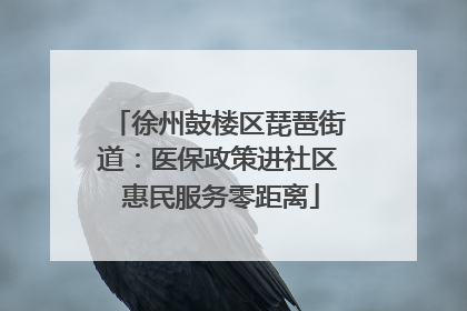徐州鼓楼区琵琶街道：医保政策进社区 惠民服务零距离