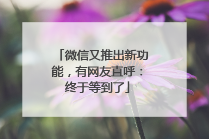 微信又推出新功能，有网友直呼：终于等到了