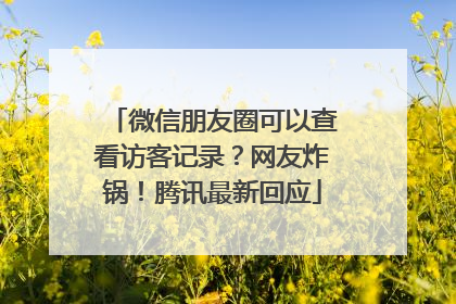 微信朋友圈可以查看访客记录？网友炸锅！腾讯最新回应