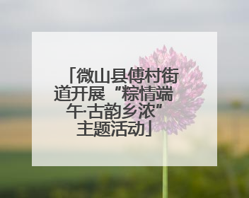 微山县傅村街道开展“粽情端午·古韵乡浓”主题活动