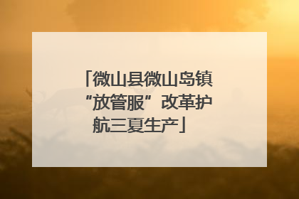 微山县微山岛镇“放管服”改革护航三夏生产