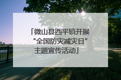微山县西平镇开展“全国防灾减灾日”主题宣传活动