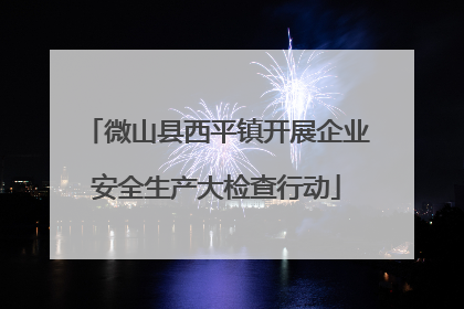 微山县西平镇开展企业安全生产大检查行动