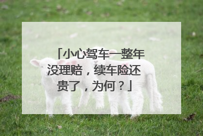 小心驾车一整年没理赔，续车险还贵了，为何？