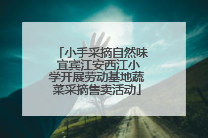 小手采摘自然味 宜宾江安西江小学开展劳动基地蔬菜采摘售卖活动