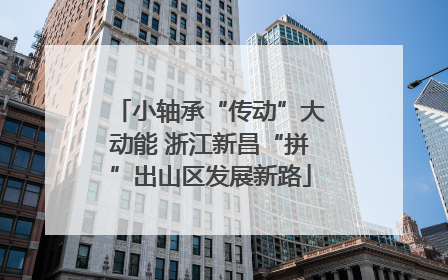 小轴承“传动”大动能 浙江新昌“拼”出山区发展新路