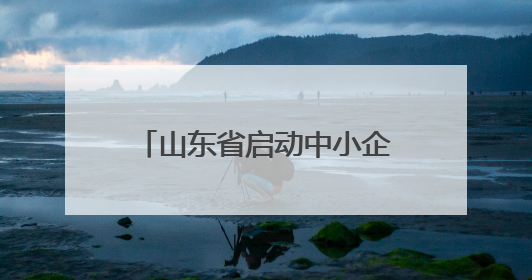 山东省启动中小企业出海专项行动 以优质中小企业“走出去”新成效展示山东产业发展新形象