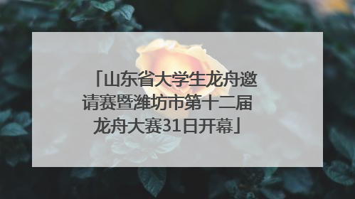 山东省大学生龙舟邀请赛暨潍坊市第十二届龙舟大赛31日开幕