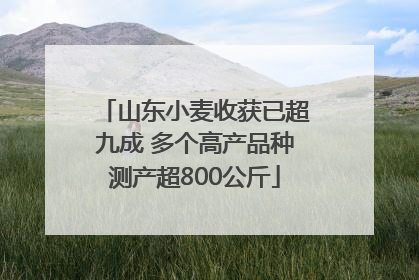 山东小麦收获已超九成 多个高产品种测产超800公斤
