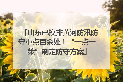 山东已摸排黄河防汛防守重点百余处！“一点一策”制定防守方案