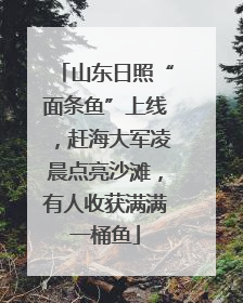 山东日照“面条鱼”上线，赶海大军凌晨点亮沙滩，有人收获满满一桶鱼