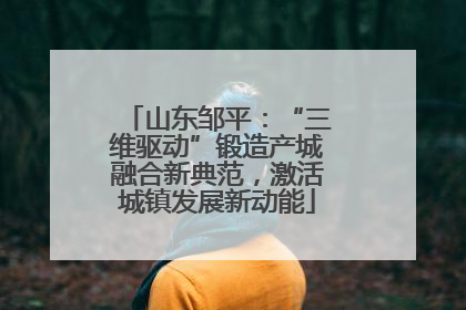 山东邹平：“三维驱动”锻造产城融合新典范，激活城镇发展新动能
