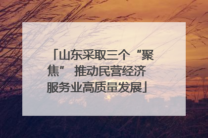 山东采取三个“聚焦” 推动民营经济服务业高质量发展