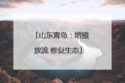 山东青岛：增殖放流 修复生态
