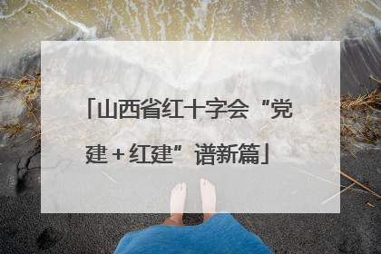 山西省红十字会“党建＋红建”谱新篇