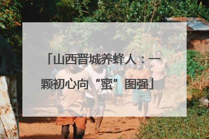 山西晋城养蜂人：一颗初心向“蜜”图强