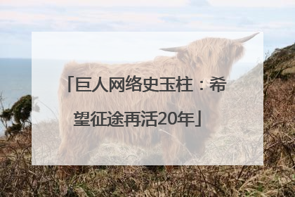 巨人网络史玉柱：希望征途再活20年