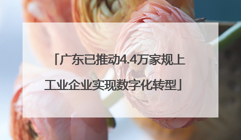 广东已推动4.4万家规上工业企业实现数字化转型