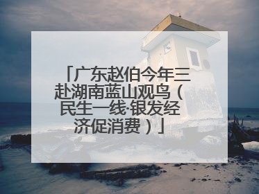 广东赵伯今年三赴湖南蓝山观鸟（民生一线·银发经济促消费）