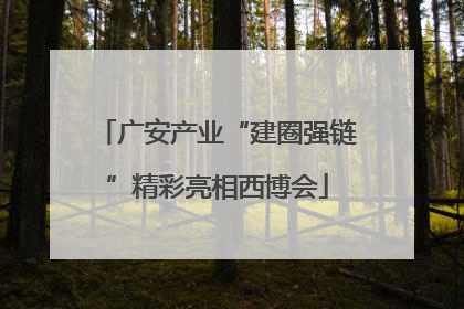 广安产业“建圈强链”精彩亮相西博会