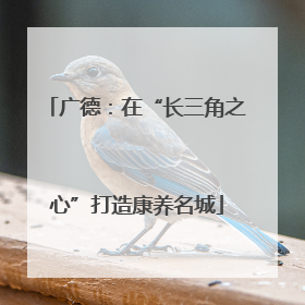 广德：在“长三角之心”打造康养名城