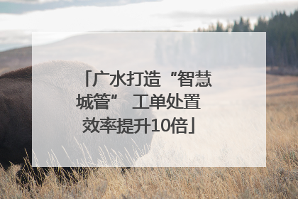广水打造“智慧城管” 工单处置效率提升10倍