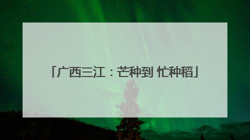 广西三江：芒种到 忙种稻