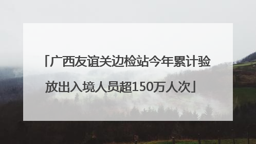 广西友谊关边检站今年累计验放出入境人员超150万人次