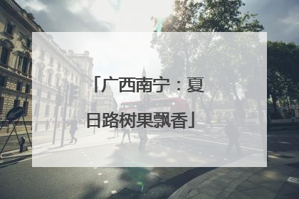 广西南宁：夏日路树果飘香
