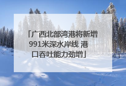 广西北部湾港将新增991米深水岸线 港口吞吐能力劲增