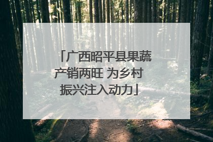 广西昭平县果蔬产销两旺 为乡村振兴注入动力