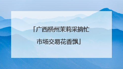 广西横州茉莉采摘忙 市场交易花香飘