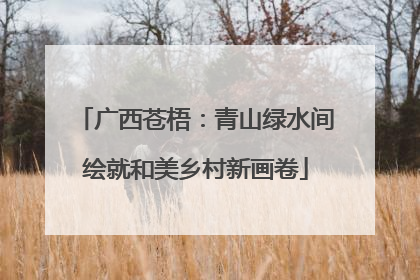 广西苍梧：青山绿水间绘就和美乡村新画卷