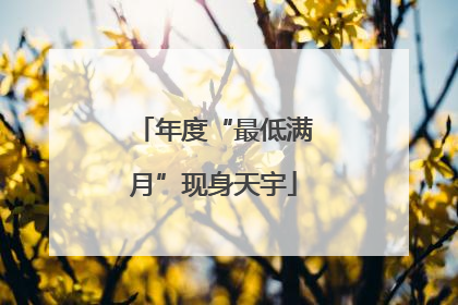 年度“最低满月”现身天宇