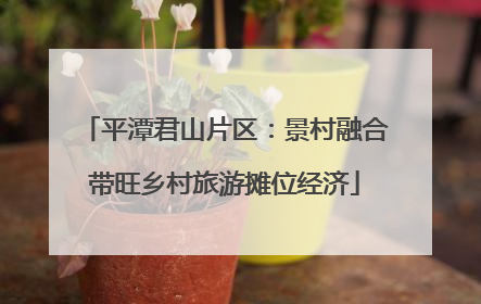 平潭君山片区：景村融合带旺乡村旅游摊位经济