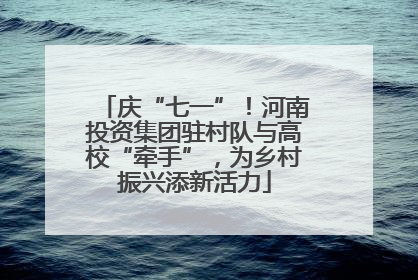 庆“七一”！河南投资集团驻村队与高校“牵手”，为乡村振兴添新活力
