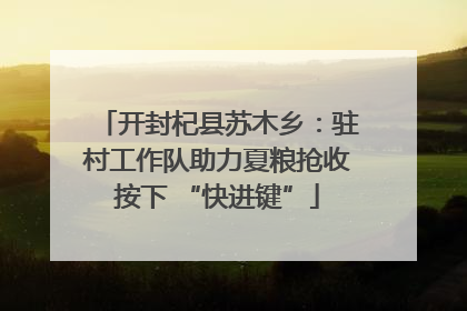 开封杞县苏木乡：驻村工作队助力夏粮抢收按下 “快进键”