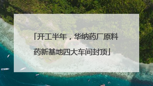 开工半年，华纳药厂原料药新基地四大车间封顶