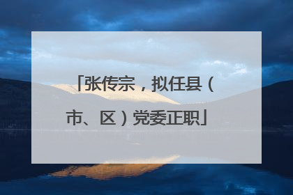 张传宗，拟任县（市、区）党委正职