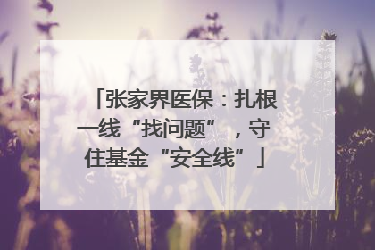 张家界医保：扎根一线“找问题”，守住基金“安全线”